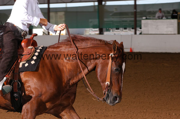 744 BC08p14B.1 - 206