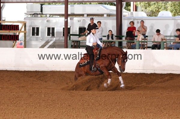 744 BC08p14B.1 - 207