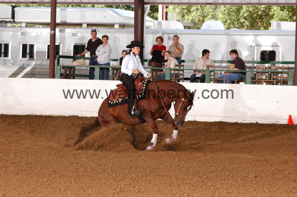 744 BC08p14B.1 - 208