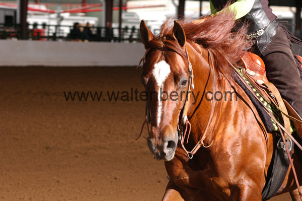 744 BC08p16B.1 - 055