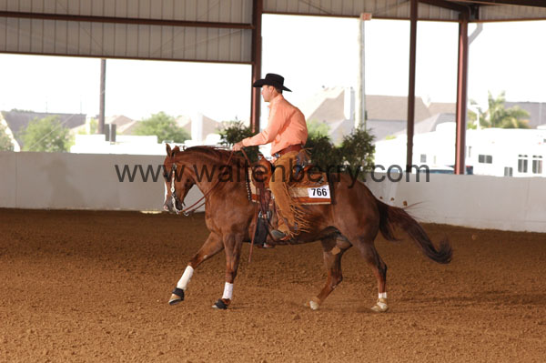 766 BC08p18A.2 - 031