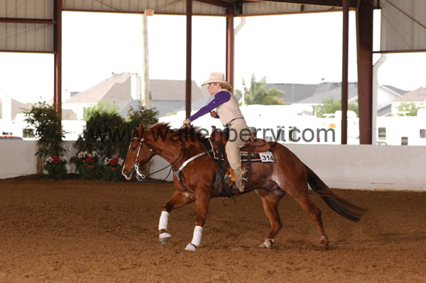 768 BC08p18A.2 - 095