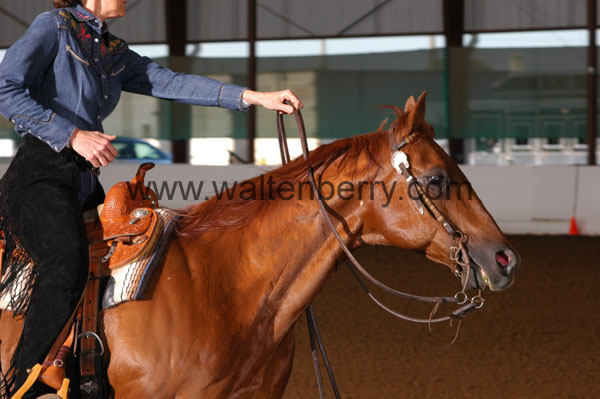 779 BC08p14B.1 - 073