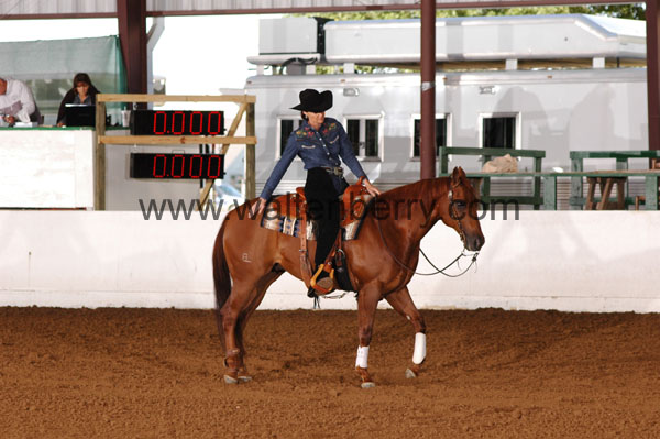 779 BC08p14B.1 - 079