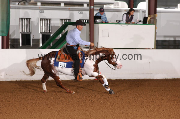 785 BC08p12A.1 - 015