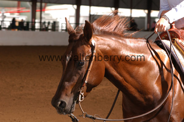 792 BC08p16B.1 - 063