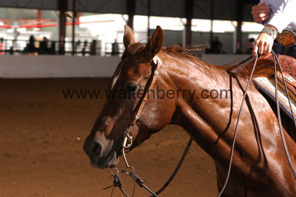 792 BC08p16B.1 - 064