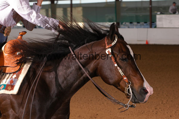 795 BC08p14B.1 - 020