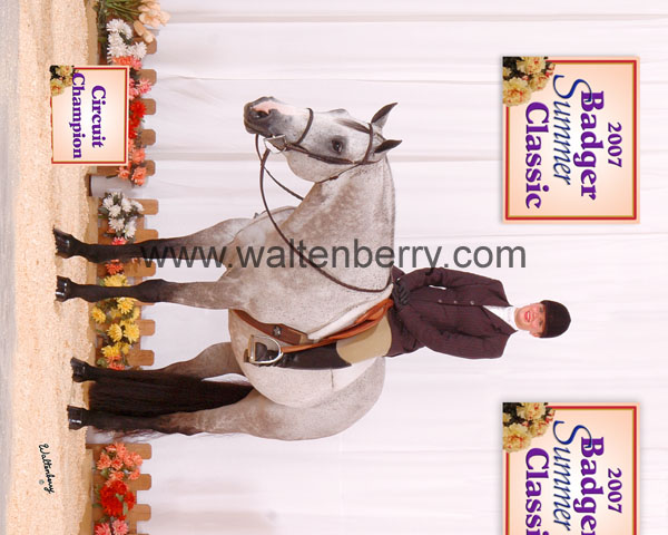 2007 BQ07p13- 003 denicolo