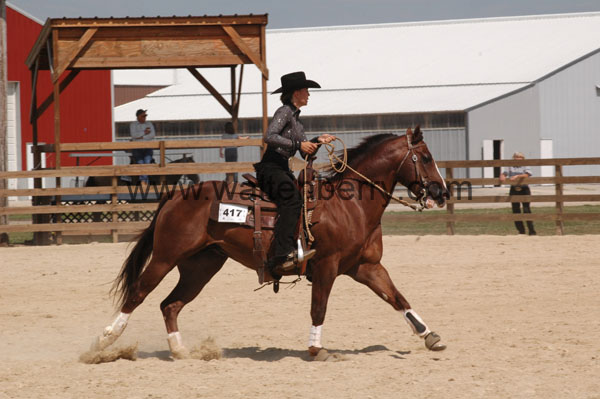 417 BQ08p10- 170