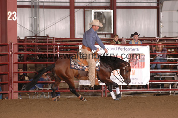 246 CF09p1.1- 103