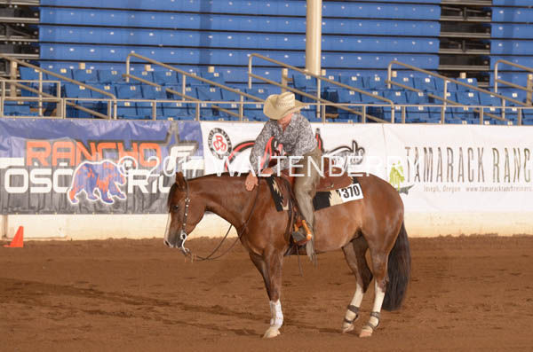 370 CR17p14B,4-049