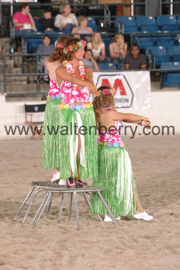 chapman CW06pWW- 001