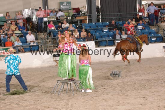 chapman CW06pWW- 002