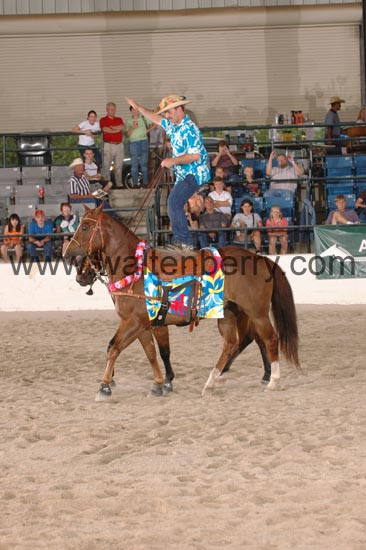 chapman CW06pWW- 003