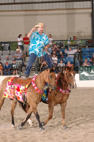 chapman CW06pWW- 004