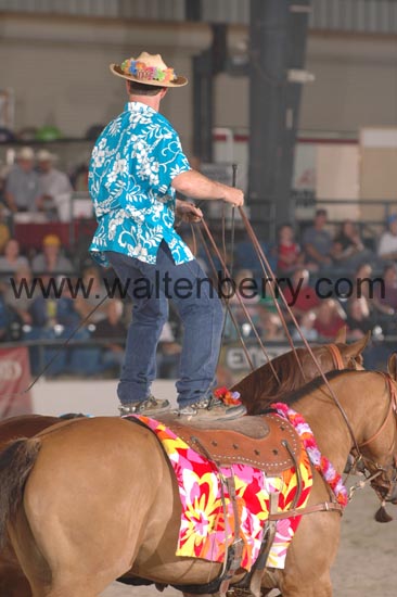 chapman CW06pWW- 005