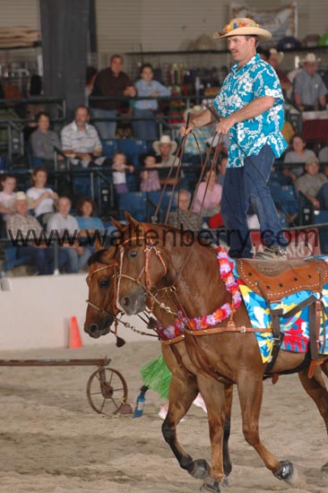 chapman CW06pWW- 006