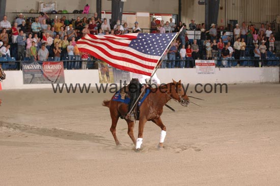 flags CW06p26.1- 004