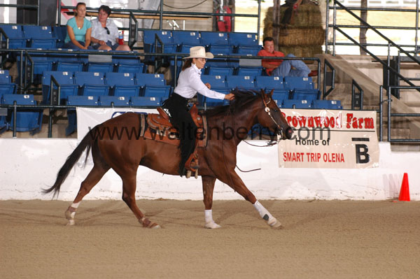 137 CW07p16- 007