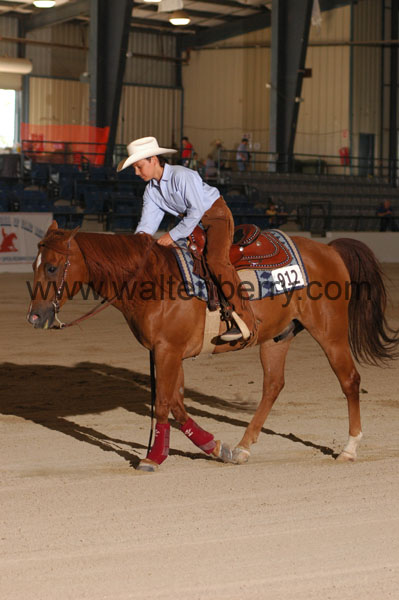 912  CW08p19B.2- 018