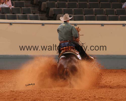188 DB05p1F.2- 004 shawn rear stop