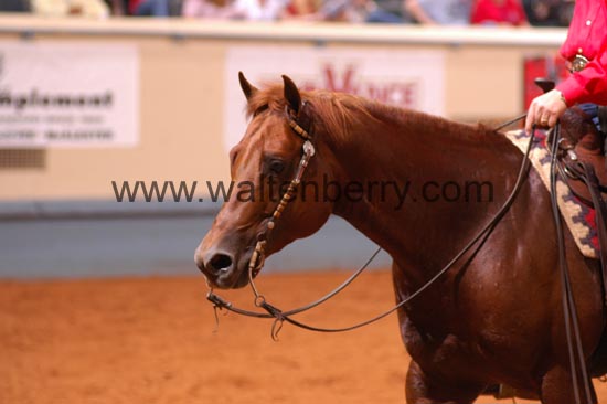 176 DB06p1F.4- 076