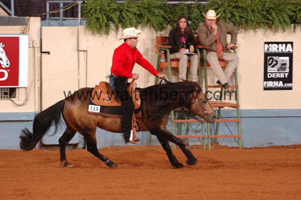113 DB07p1F.1- 087