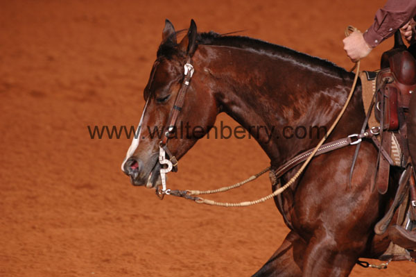 229 DB07p1F.1- 051