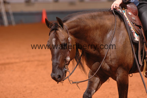 690 DB07p3F.4- 057