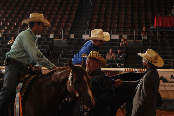 141-281 DB08p1F.5- 019