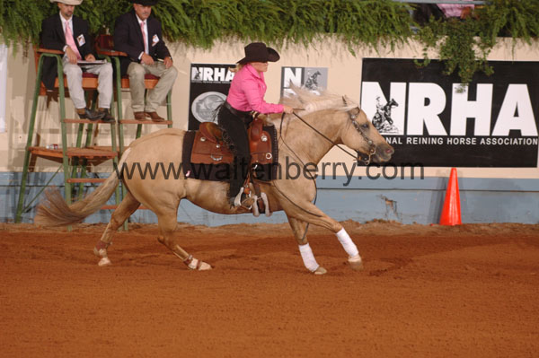 667 DB08p3F.1- 069