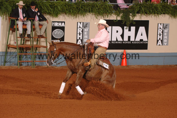 736 DB08p4F.1- 217