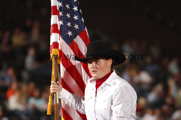 flag DB08p1F.6- 003