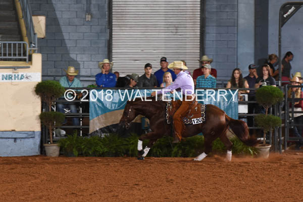 120 DB18p1F,3-217