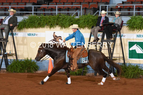 172 DB18p1A,7-260