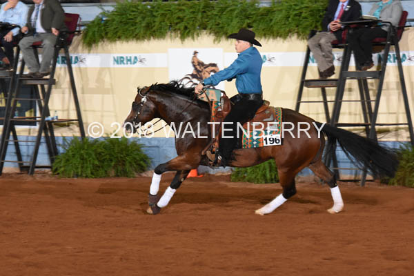 196 DB18p1A,11-031
