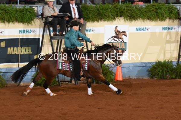 196 DB18p1F,1-081