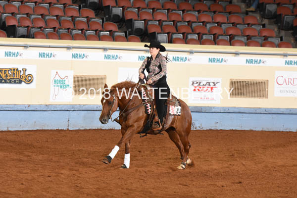 208 DB18p3A,1-048