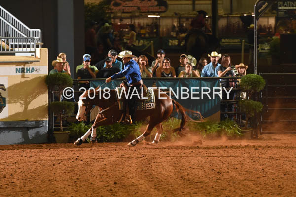 231 DB18p1F,2-101
