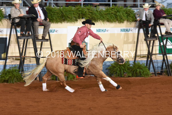 291 DB18p1F,1-234