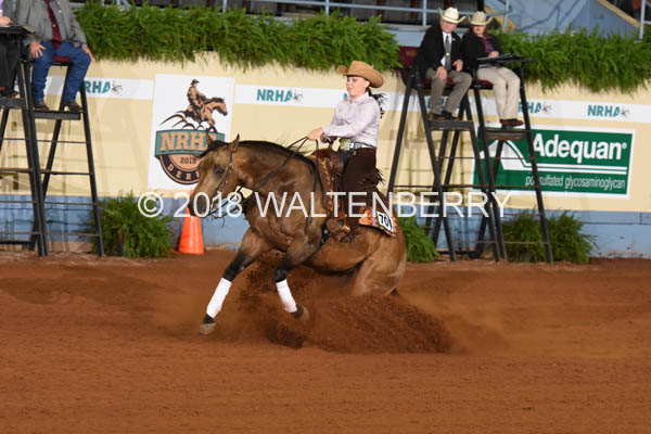 701 DB18p3A,1-087