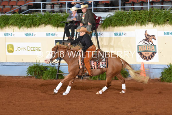 752 DB18p3F,3-251
