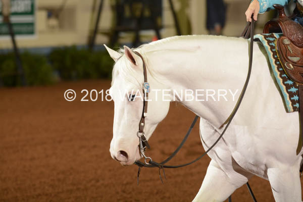 779 DB18p4F,4-071