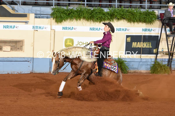 800 DB18p3A,9-191