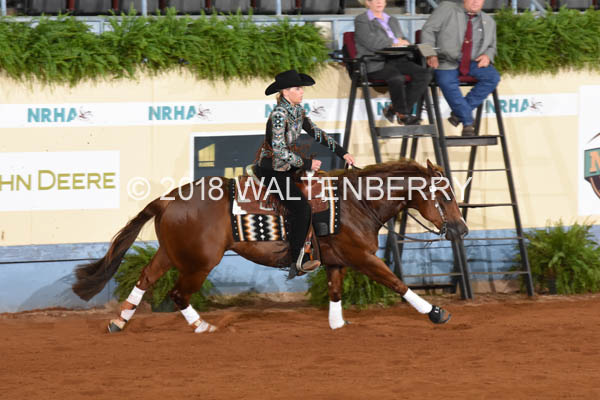 809 DB18p3A,11-056