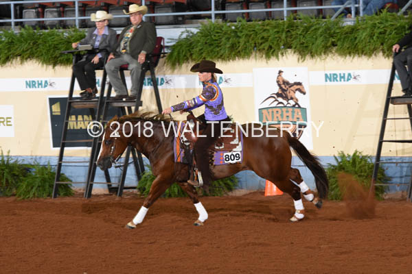 809 DB18p3F,1-015