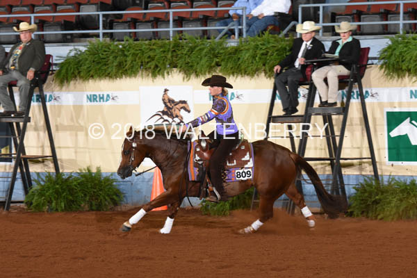 809 DB18p3F,1-017