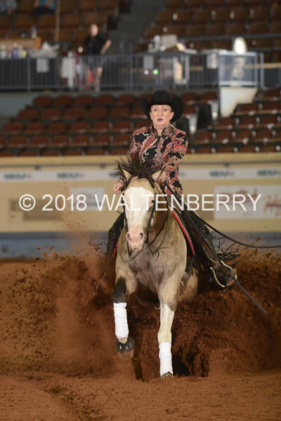 825 DB18p3F,4-058