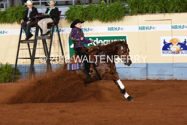 876 DB18p3F,1-133